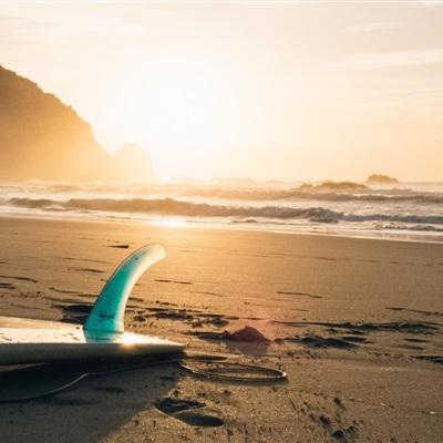 bet体育365官网正规app下载