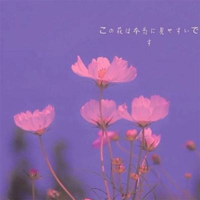 kaiyun·体育app下载