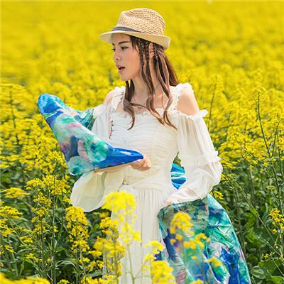 半岛官方下载地址截图